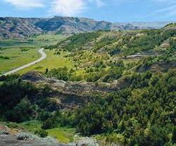 View from Iron Mountain Road