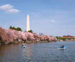 Tidal Basin in Washington, DC Tidal Basin in Washington, DC