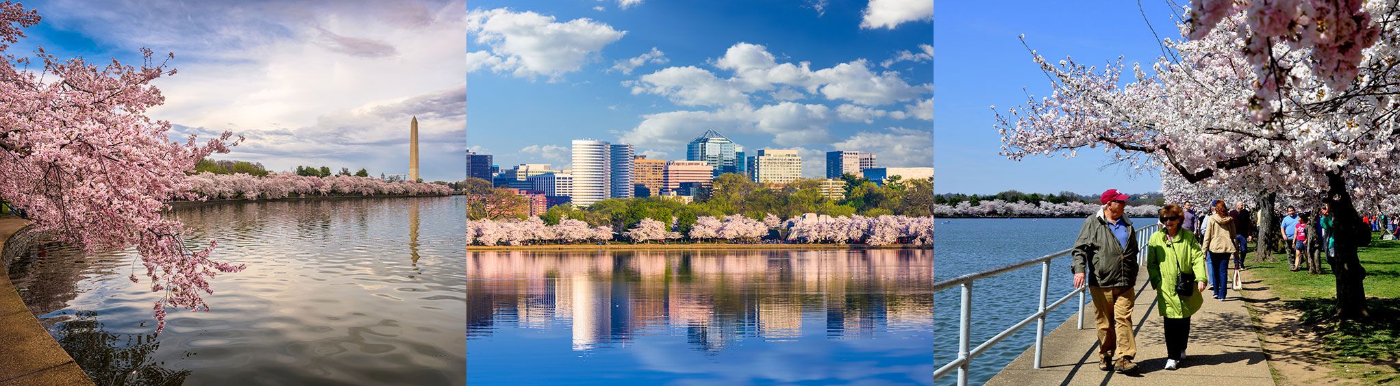 Tidal Basin