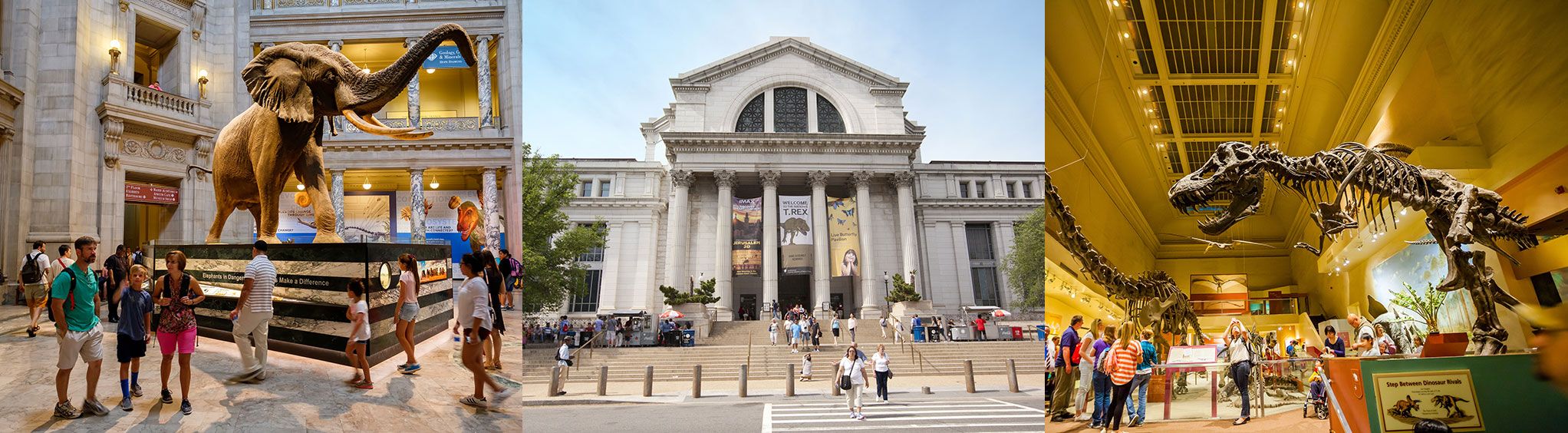 National Museum of Natural History