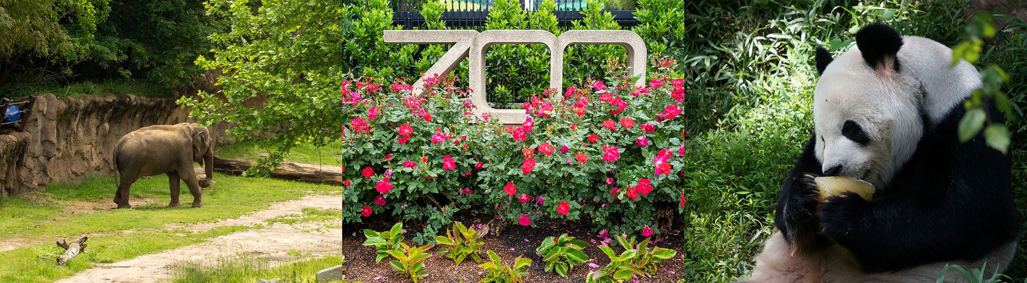 Smithsonian's National Zoo