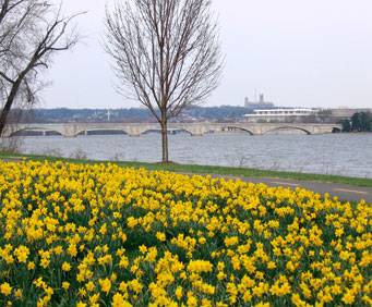Columbia Island in Washington, DC