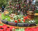 U.S. Botanic Garden in Washington, DC, Christmas U.S. Botanic Garden in Washington, DC, Christmas