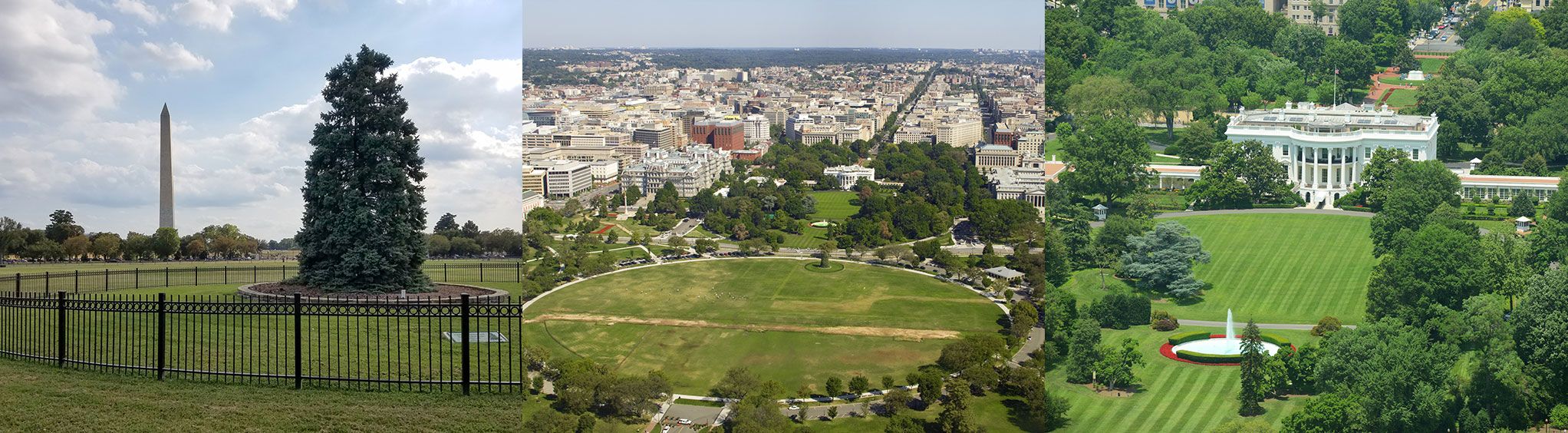 The Ellipse
