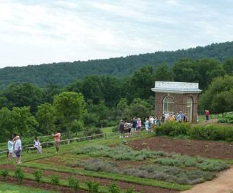 View of Thomas Jefferson's garden