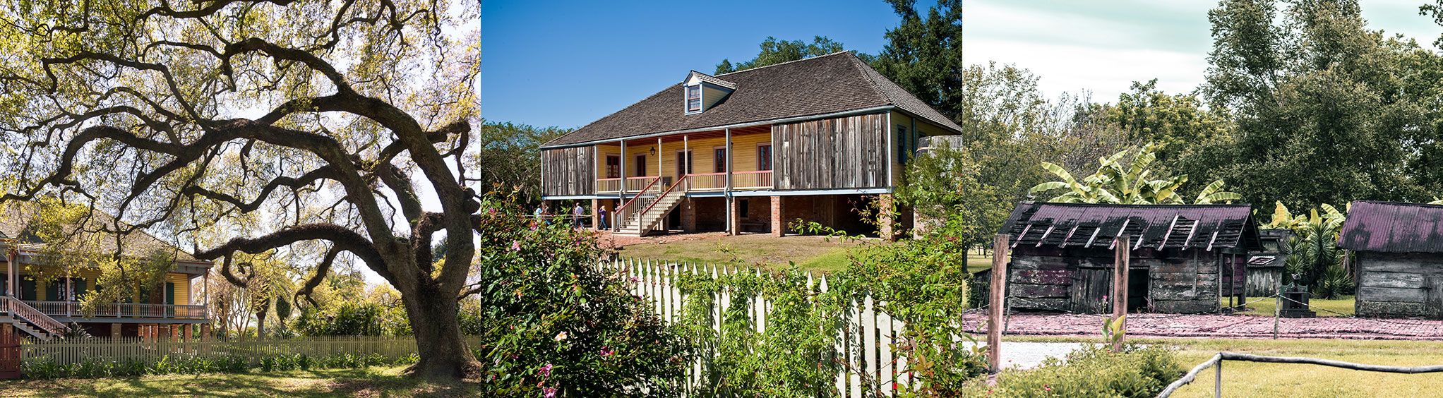 Laura Plantation