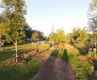 Pathways