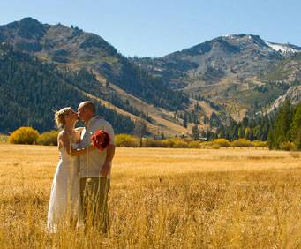 Beautiful golden plains