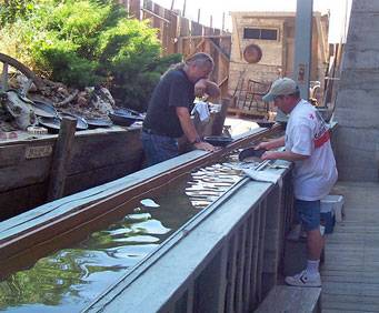 Panning for gold