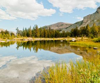 Waters at Tioga Pass