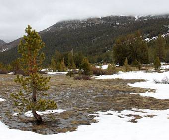 Tioga Pass