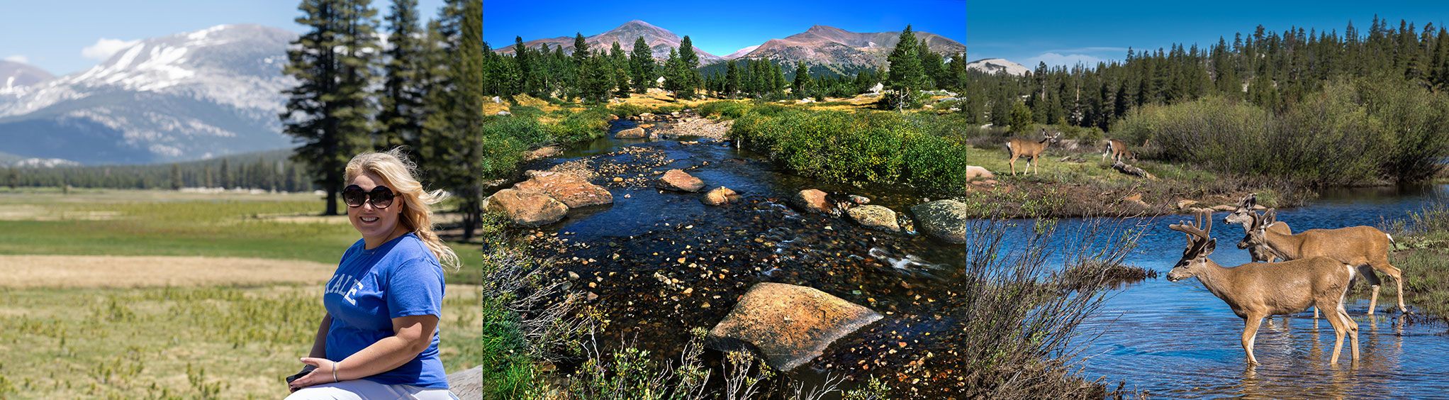 Tuolumne Meadows in Yosemite National Park, CA