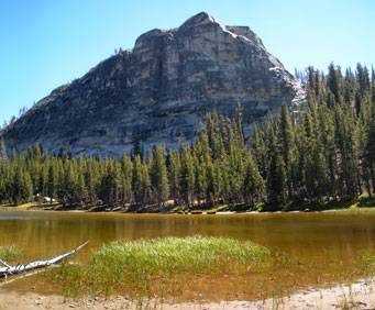 Waters by the dome
