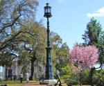 Old Harbor Light & Oglethorpe Bench in Savannah, GA Old Harbor Light & Oglethorpe Bench in Savannah, GA