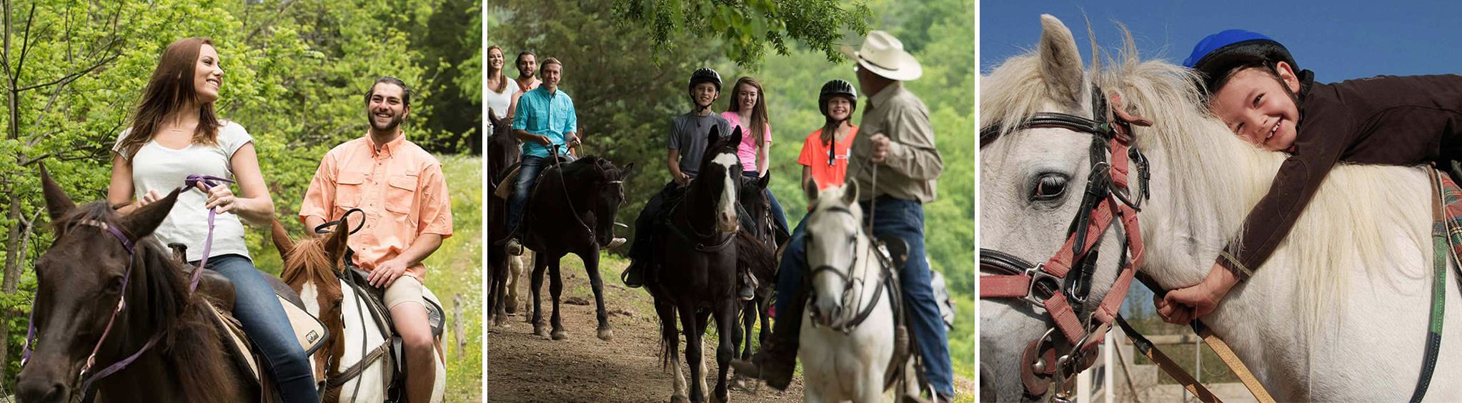 Five Oaks Riding Stables