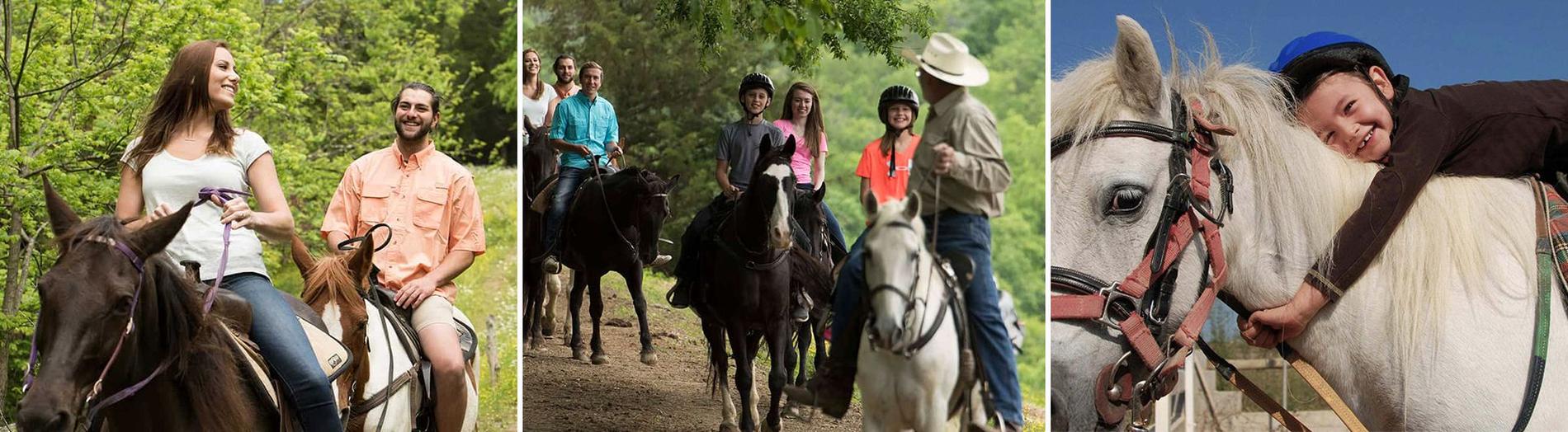 Five Oaks Riding Stables in Sevierville, TN