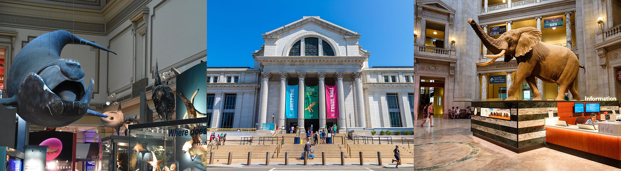 Smithsonian National Museum of Natural History