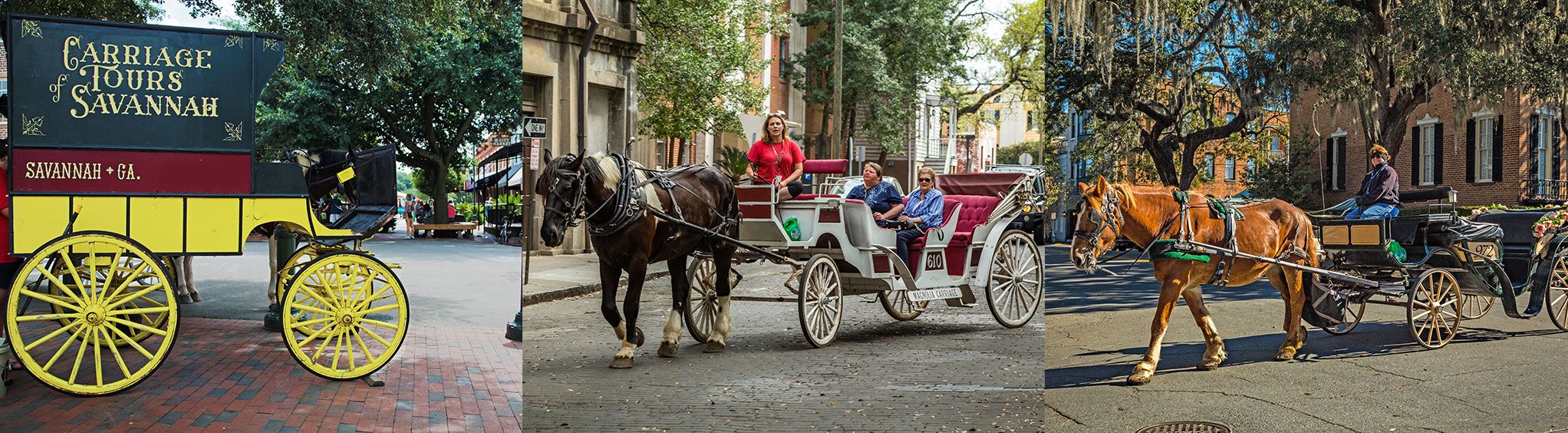 Savannah Carriage Tours in Savannah, GA