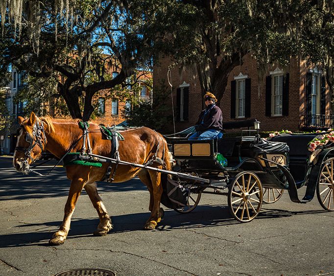 Savannah Carriage Tours in Savannah, GA