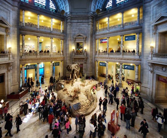 Smithsonian National Mall Tours