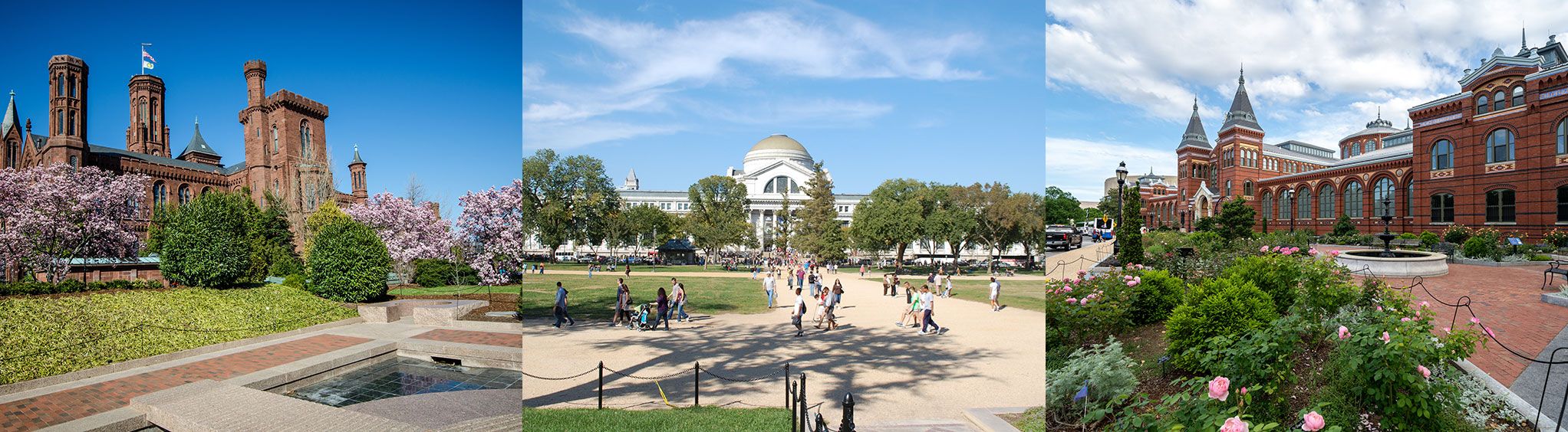 Smithsonian National Mall Tours in Washington, DC
