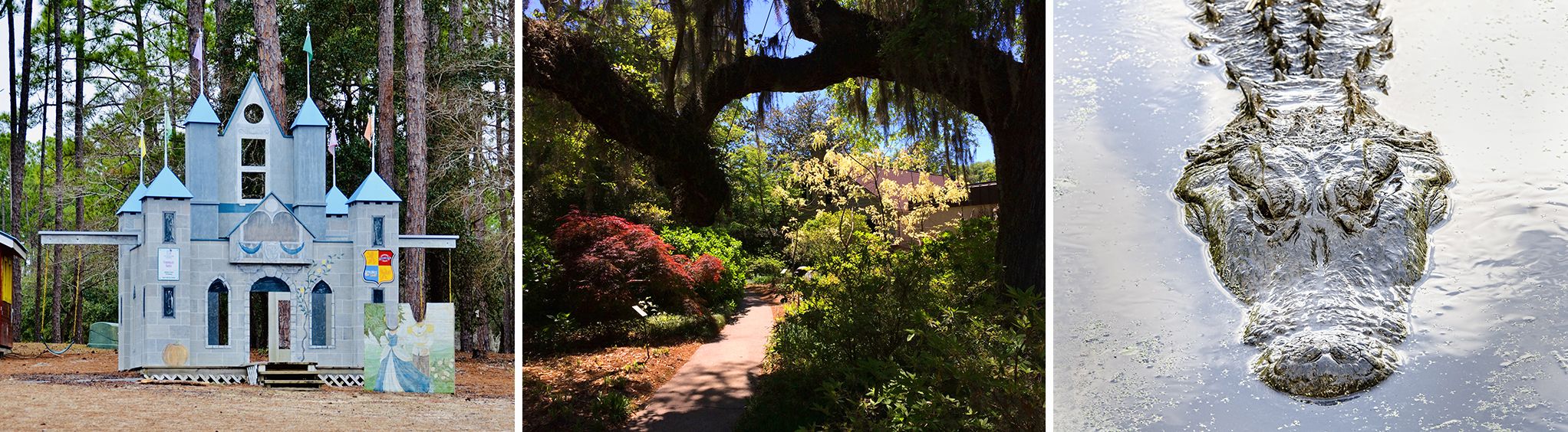 Brookgreen Gardens near Myrtle Beach, SC