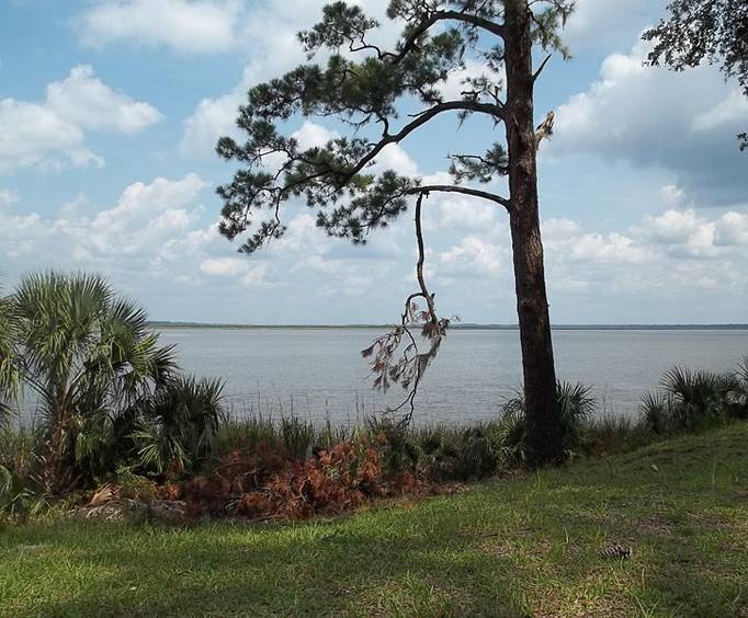 Ogeechee River