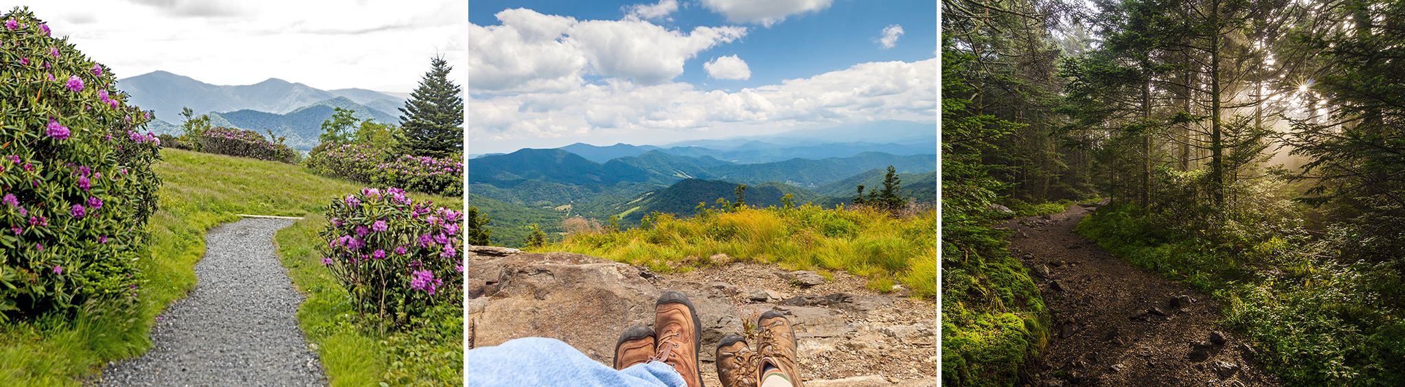 Roan Mountain State Park near Pigeon Forge, TN