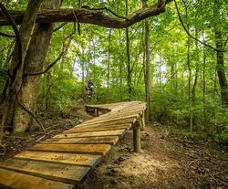 park walkway