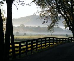 misty park