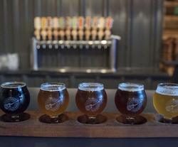 beer tasting