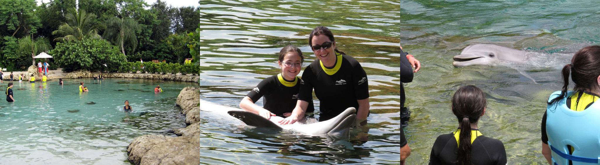 Discovery Cove in Orlando, FL