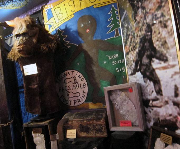 Wolf's Museum of Mystery in St. Augustine, FL