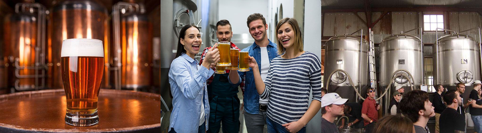 Tahoe Brew Tours in Lake Tahoe, CA