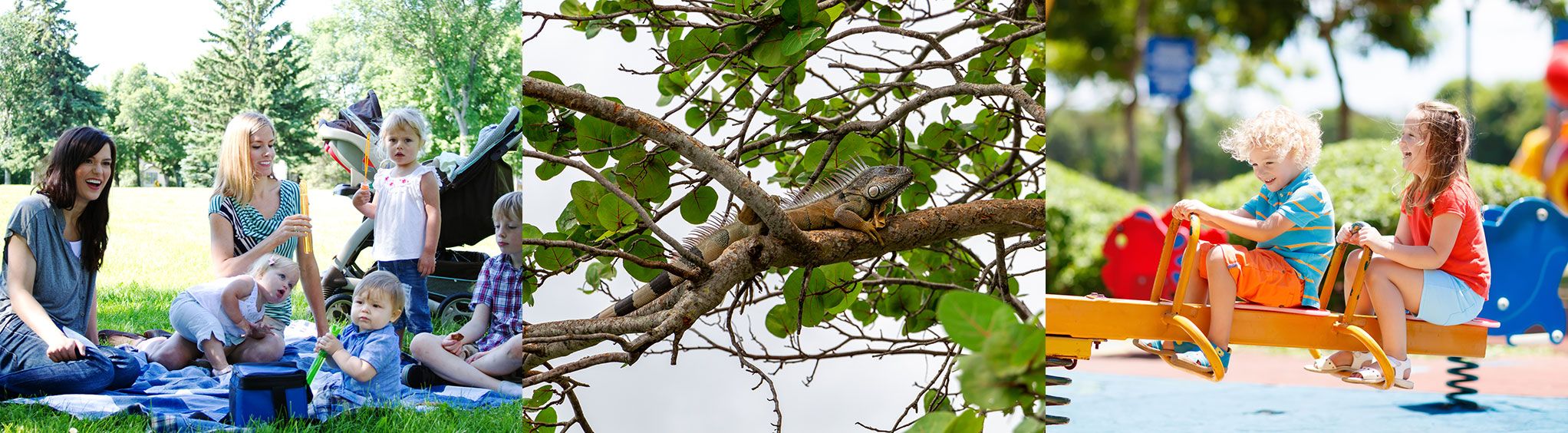 Topeekeegee Yugnee Park near Fort Lauderdale, FL