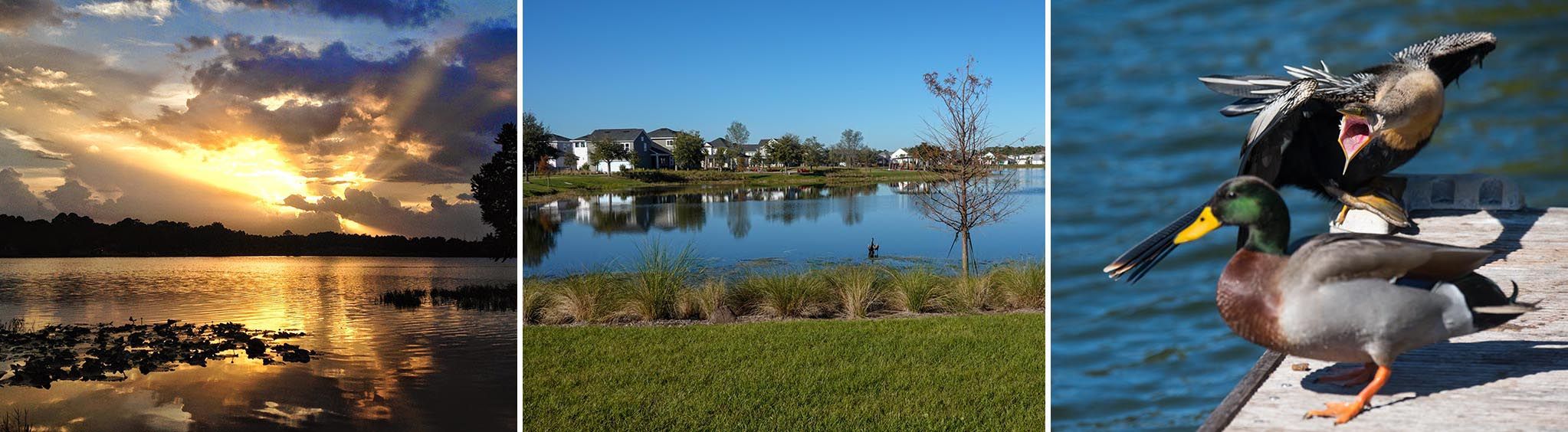 Bill Frederick Park at Turkey Lake