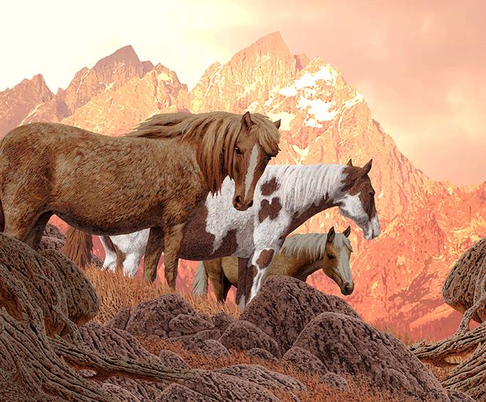 Hildebrand Art Gallery in San Antonio