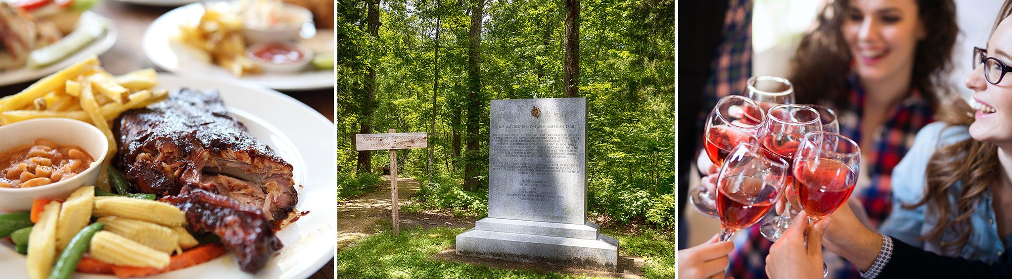 Webster Hollow