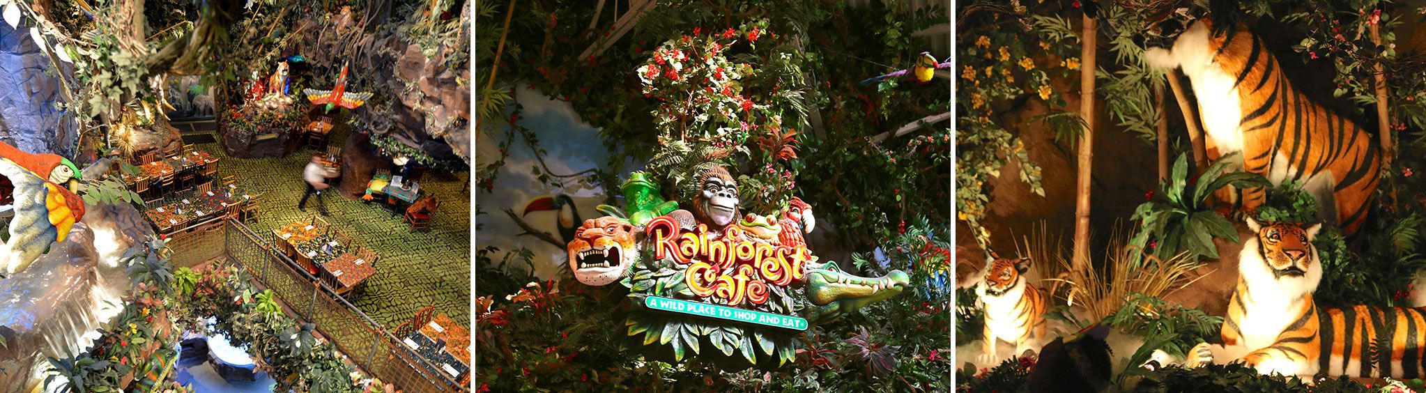 Rainforest Cafe at Opry Mills