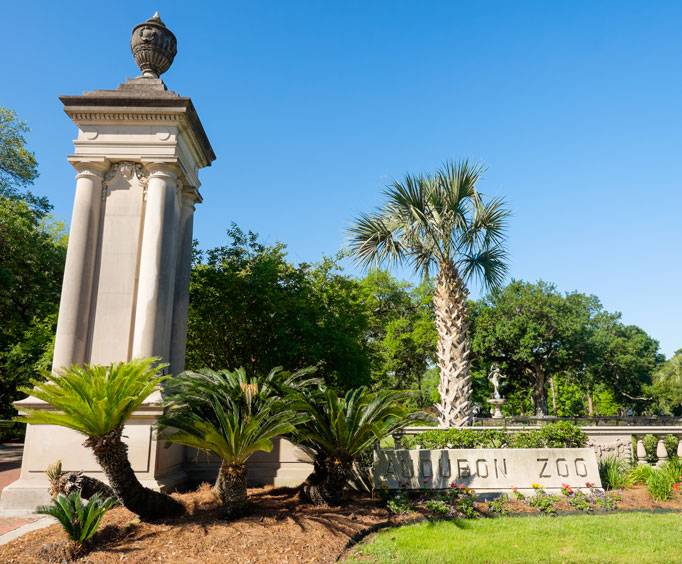 Audubon Zoo in New Orleans