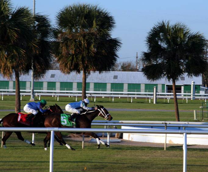 Fair Grounds Race Course and Slots, A Churchill Downs Co. in New Orleans