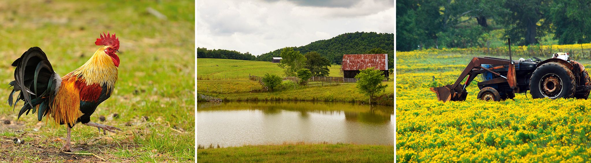 The Country Farm Museum