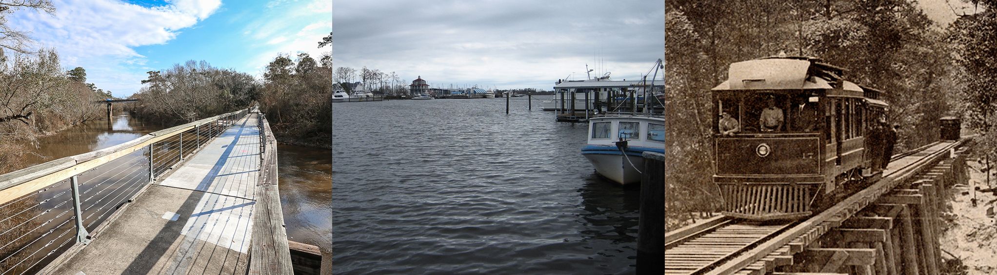 Bogue Falaya Park near New Orleans