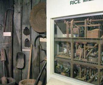 Rice exhibit