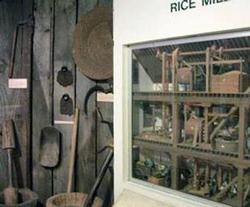Rice exhibit
