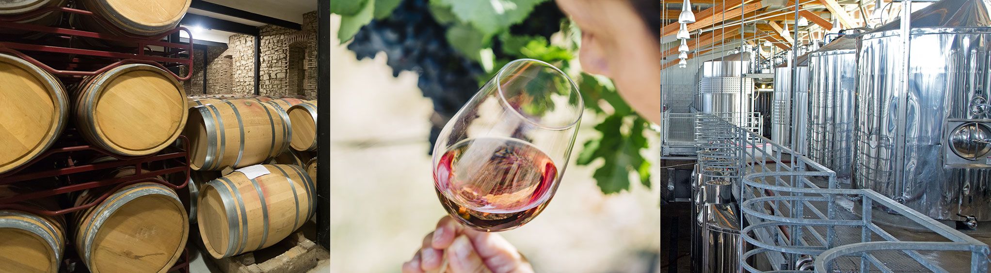 Lakeridge Winery and Vineyards