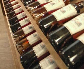 Lakeridge Winery and Vineyards in Clermont, FL, wine tour