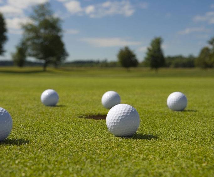 Venues & Sports Arenas