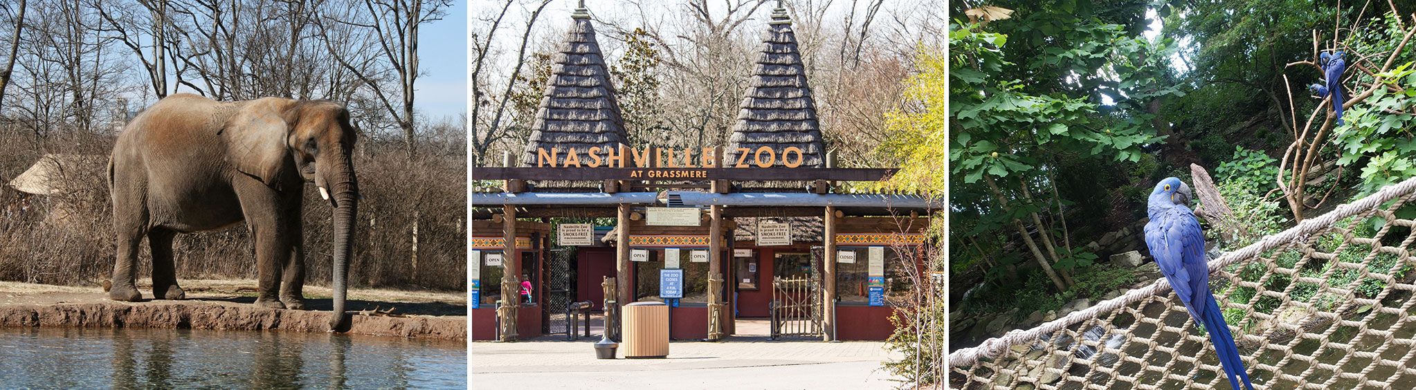 Nashville Zoo in Nashville