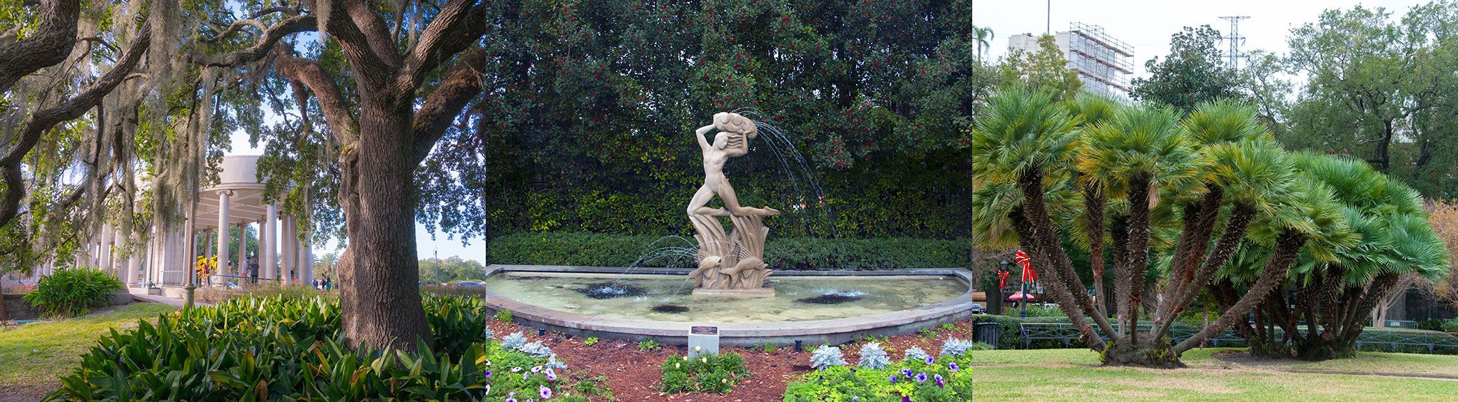 New Orleans City Park in New Orleans